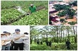 Chỉ đạo, điều hành của Chính phủ, Thủ tướng Chính phủ nổi bật trong tuần